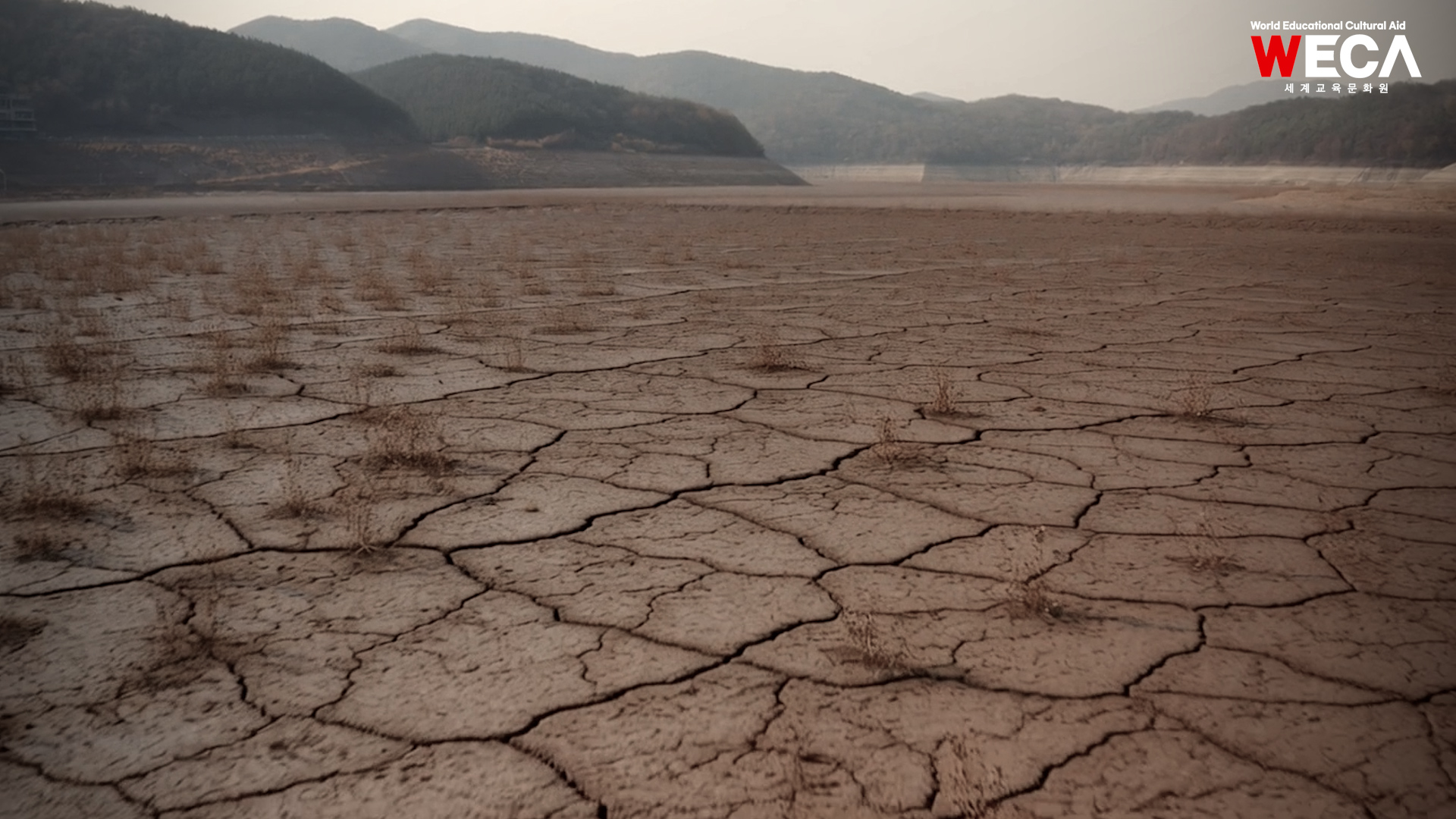 강릉 가뭄 식수지원