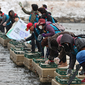 하천을 살리는 '안양천 EM흙공 던지기' 행사