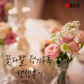 세계교육문화원 | '꽃보다 아름다운 당신' 꽃다발 정기구독 ???? 생생후기! (made in 울산 시골쥐)